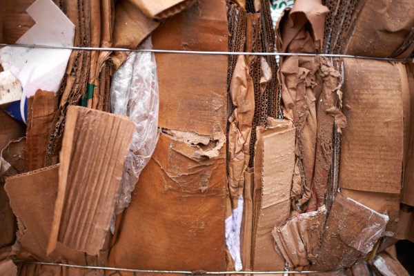 bundles of wet cardboard